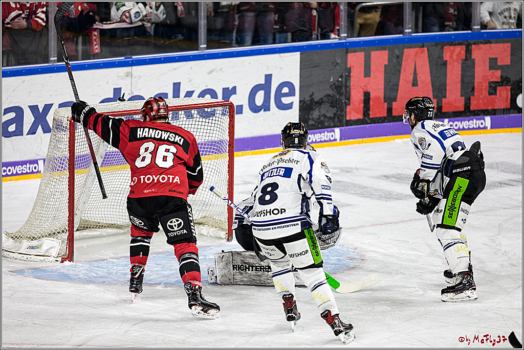 DEL, Koelner Haie - Straubing Tigers, 30.01.2018