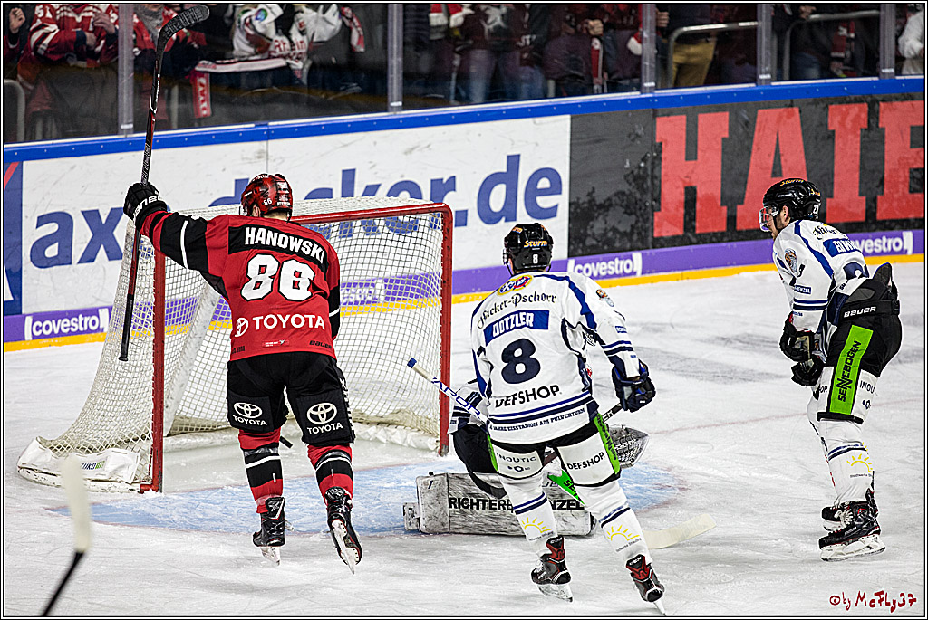 DEL, Koelner Haie - Straubing Tigers, 30.01.2018