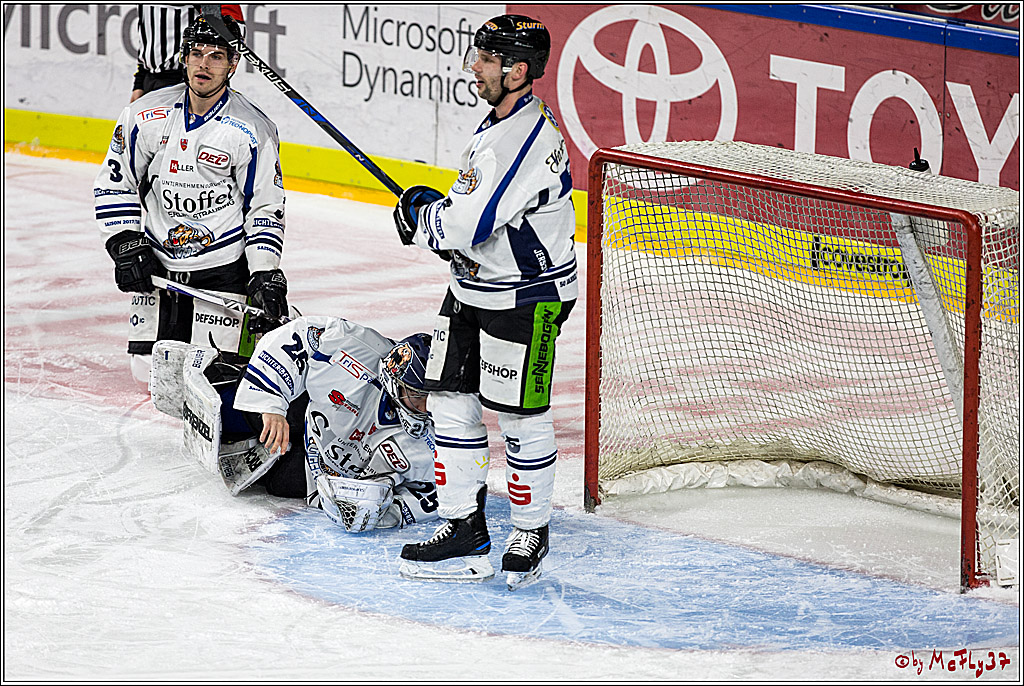 DEL, Koelner Haie - Straubing Tigers, 30.01.2018