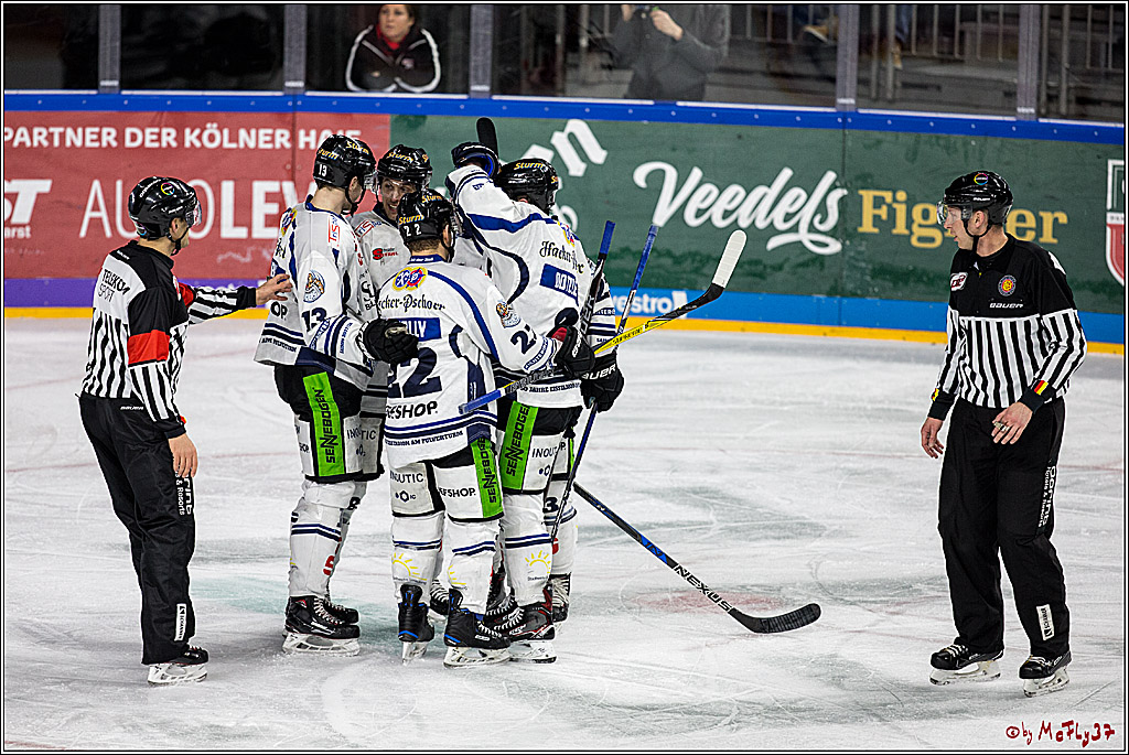 DEL, Koelner Haie - Straubing Tigers, 30.01.2018