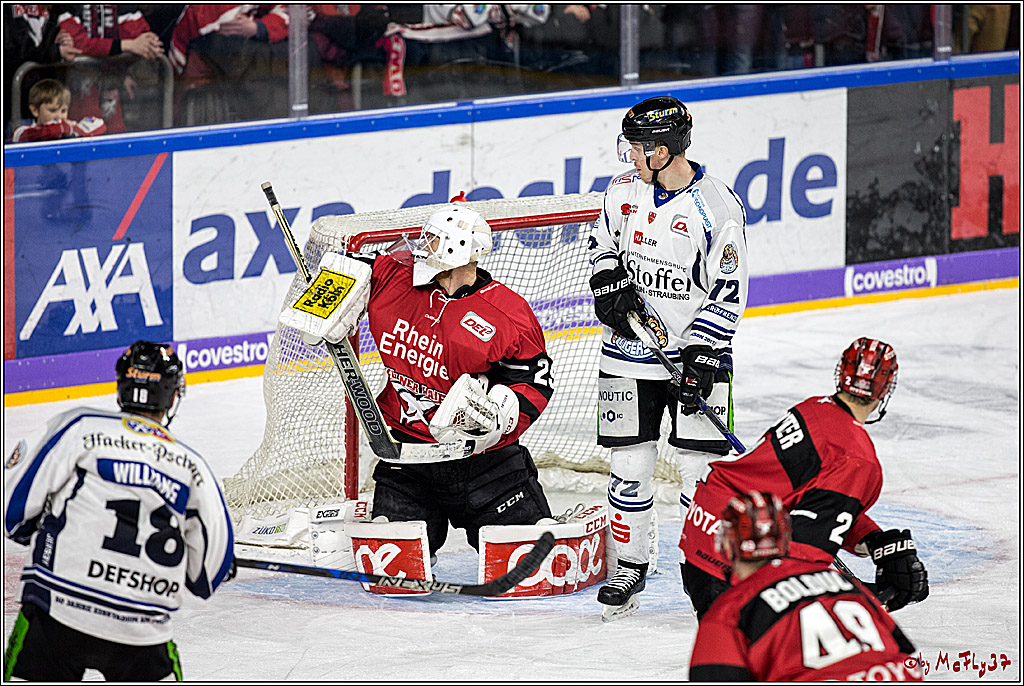 DEL, Koelner Haie - Straubing Tigers, 30.01.2018