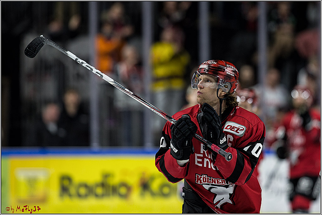 DEL, Koelner Haie - Straubing Tigers, 30.01.2018