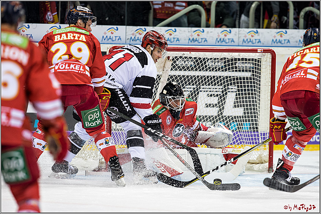 DEL, Duesseldorfer EG - Koelner Haie, 02.02.2018