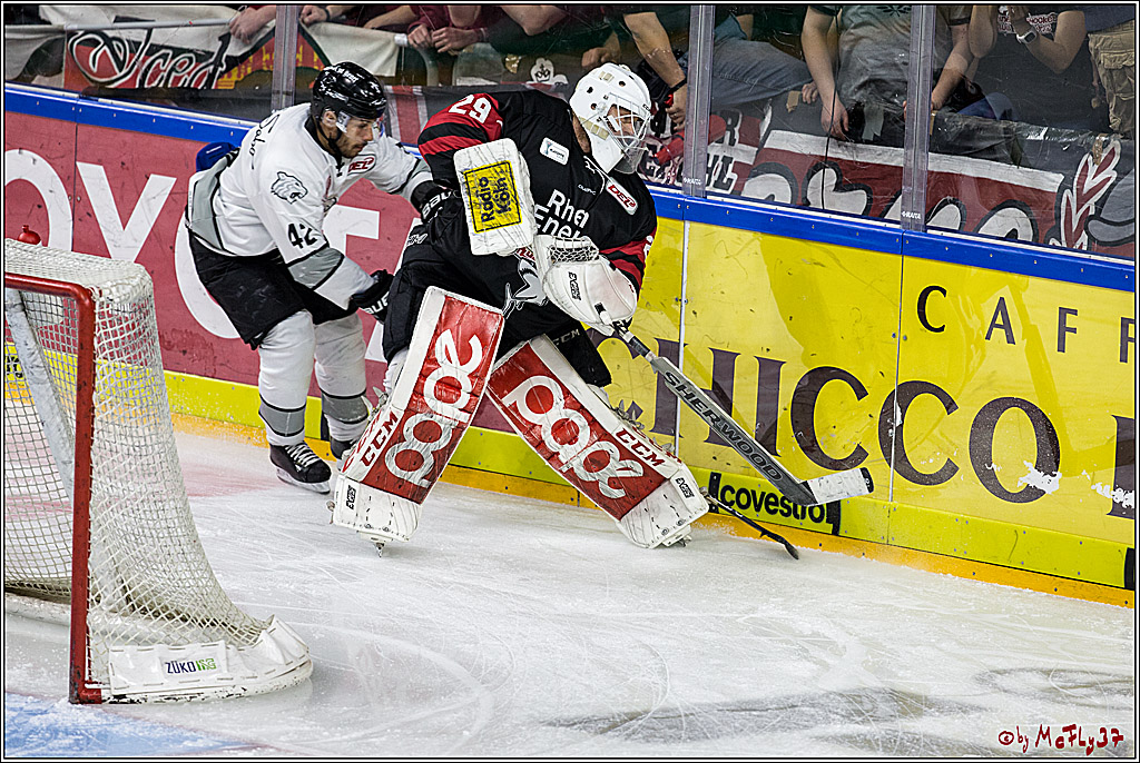 DEL-Playoff, Koelner Haie - Nuernberg Ice Tigers, 15.03.2018