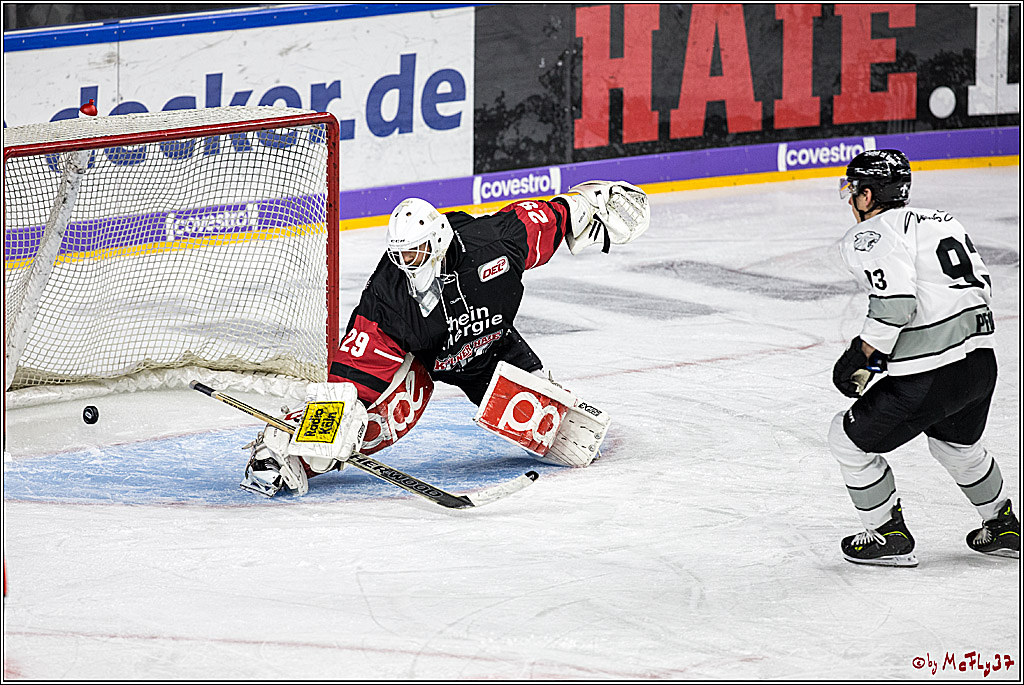 DEL-Playoff, Koelner Haie - Nuernberg Ice Tigers, 15.03.2018