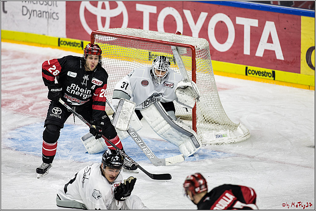 DEL-Playoff, Koelner Haie - Nuernberg Ice Tigers, 15.03.2018
