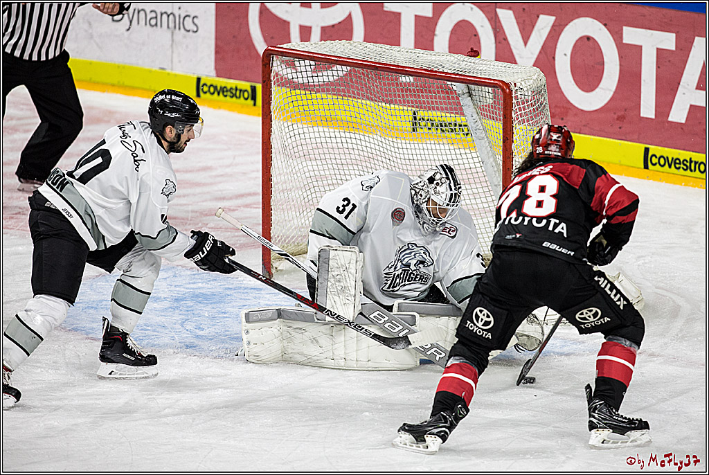DEL-Playoff, Koelner Haie - Nuernberg Ice Tigers, 15.03.2018
