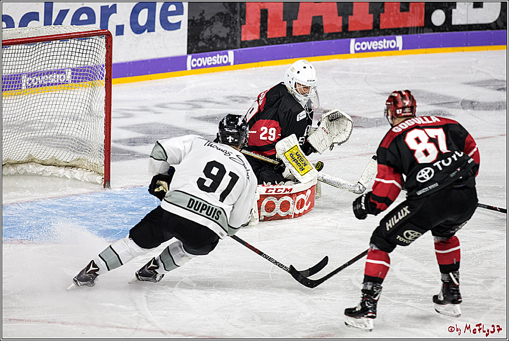 DEL-Playoff, Koelner Haie - Nuernberg Ice Tigers, 15.03.2018
