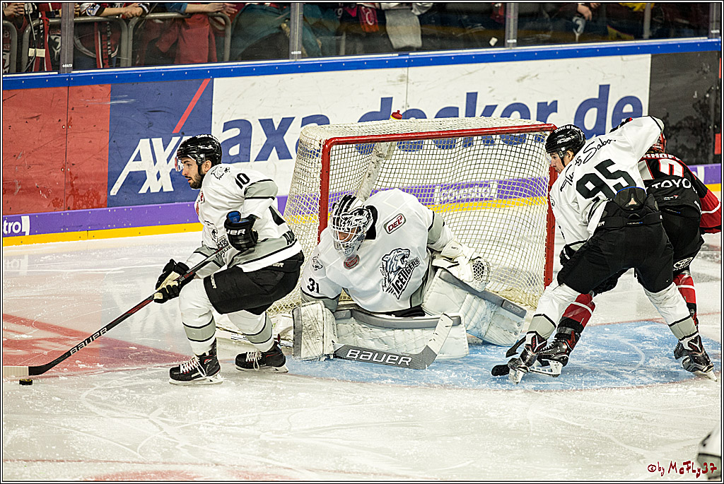 DEL-Playoff, Koelner Haie - Nuernberg Ice Tigers, 20.03.2018