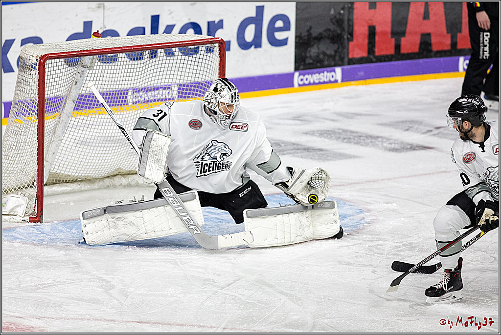 DEL-Playoff, Koelner Haie - Nuernberg Ice Tigers, 20.03.2018