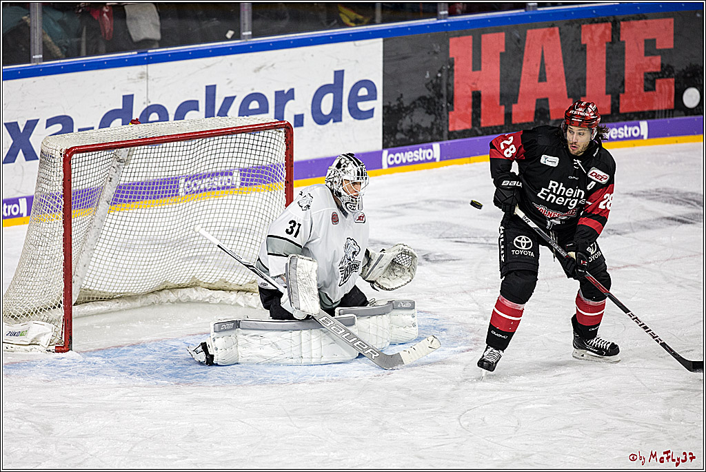 DEL-Playoff, Koelner Haie - Nuernberg Ice Tigers, 20.03.2018
