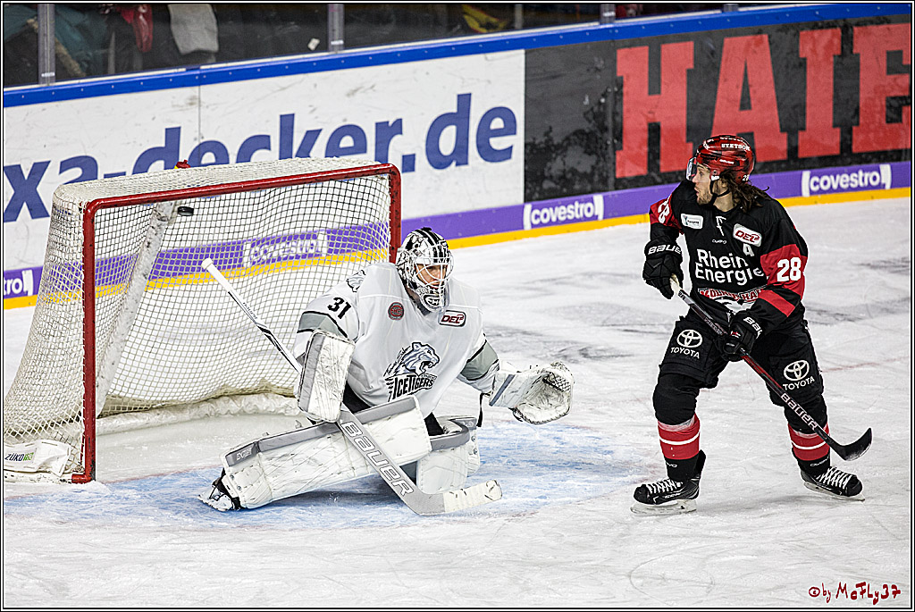 DEL-Playoff, Koelner Haie - Nuernberg Ice Tigers, 20.03.2018