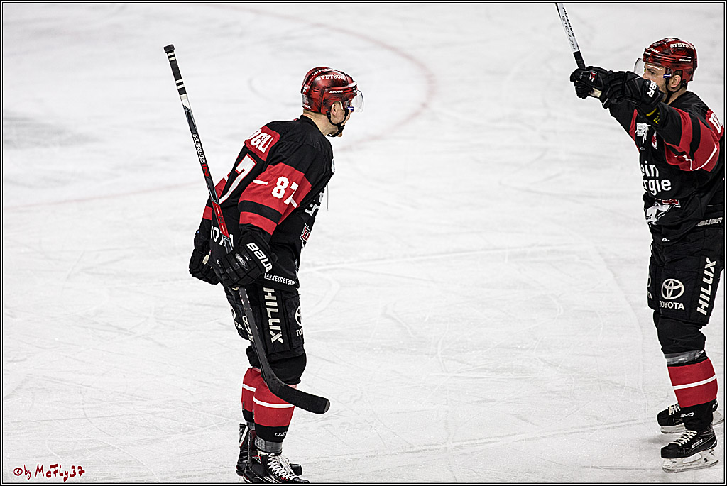 DEL-Playoff, Koelner Haie - Nuernberg Ice Tigers, 20.03.2018