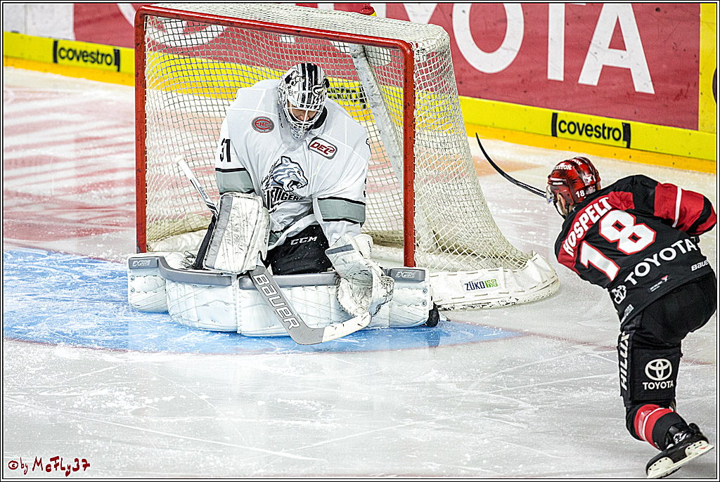DEL-Playoff, Koelner Haie - Nuernberg Ice Tigers, 20.03.2018