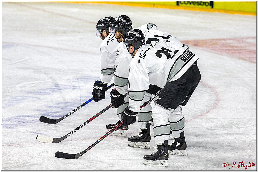 DEL-Playoff, Koelner Haie - Nuernberg Ice Tigers, 20.03.2018