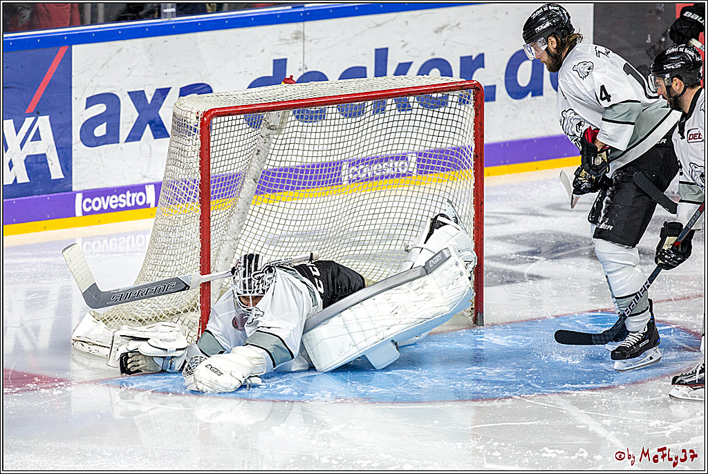 DEL-Playoff, Koelner Haie - Nuernberg Ice Tigers, 20.03.2018