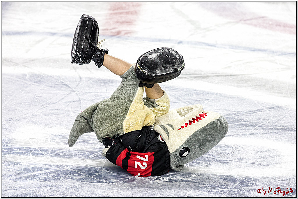 DEL-Playoff, Koelner Haie - Nuernberg Ice Tigers, 20.03.2018