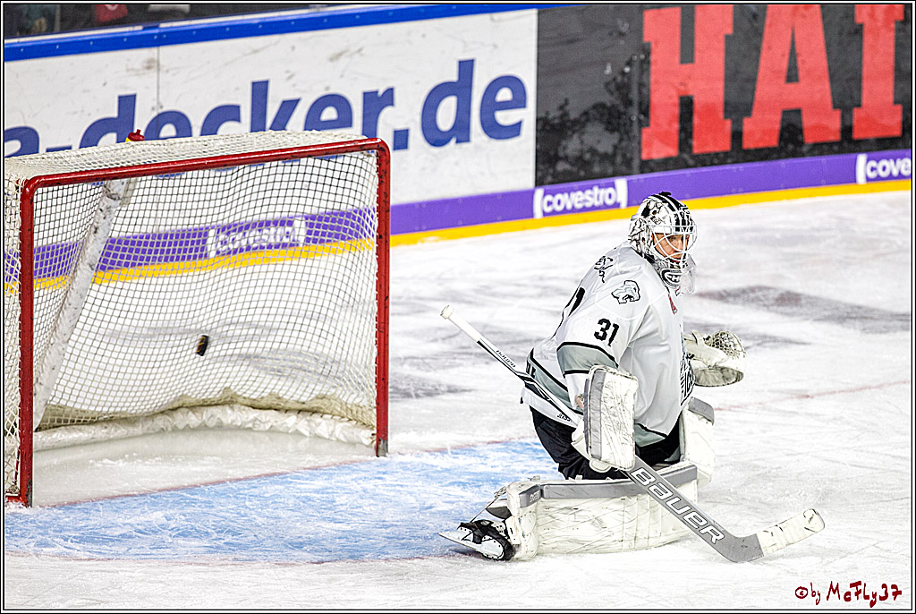 DEL-Playoff, Koelner Haie - Nuernberg Ice Tigers, 20.03.2018
