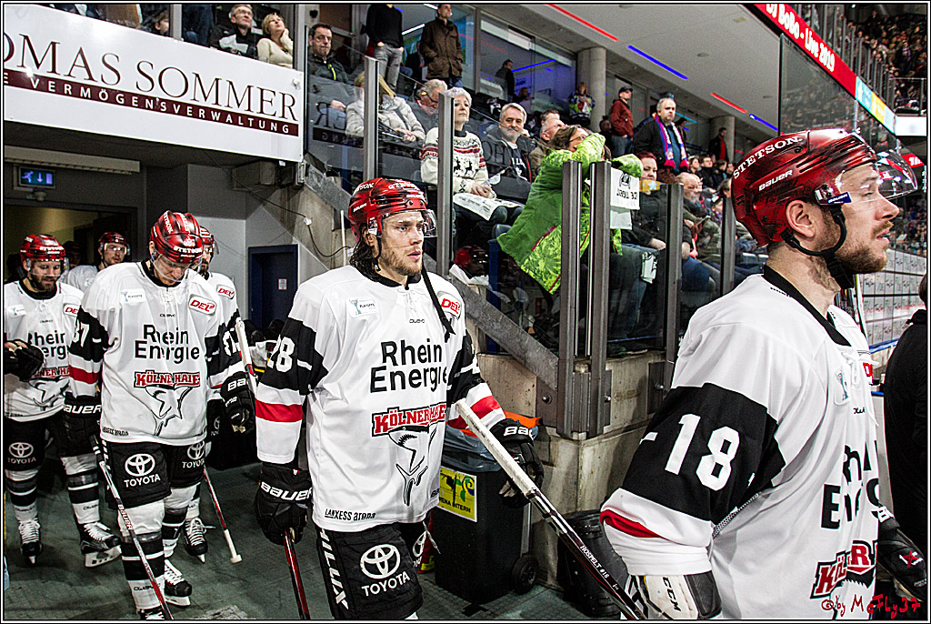 DEL-Playoff, Nuernberg Ice Tigers - Koelner Haie, 23.03.2018