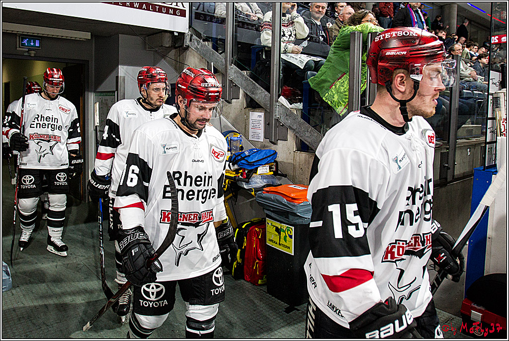 DEL-Playoff, Nuernberg Ice Tigers - Koelner Haie, 23.03.2018
