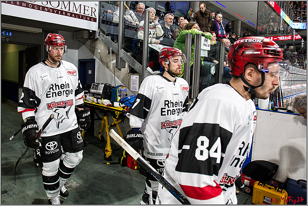 DEL-Playoff, Nuernberg Ice Tigers - Koelner Haie, 23.03.2018