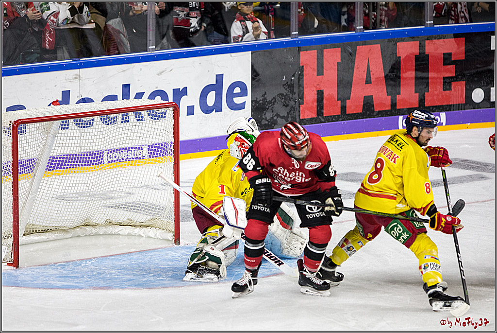 DEL, Koelner Haie - Duesseldorfer eG, 13.10.2017