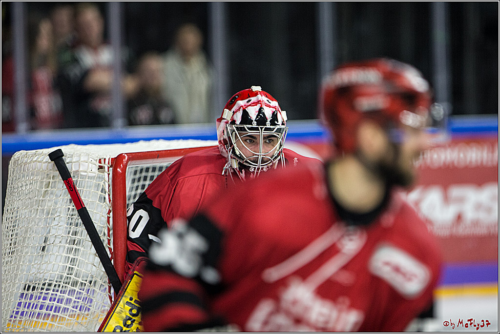 DEL, Koelner Haie - Duesseldorfer eG, 13.10.2017
