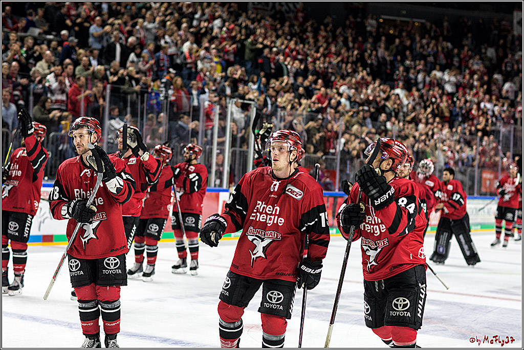 DEL, Koelner Haie - Duesseldorfer eG, 13.10.2017