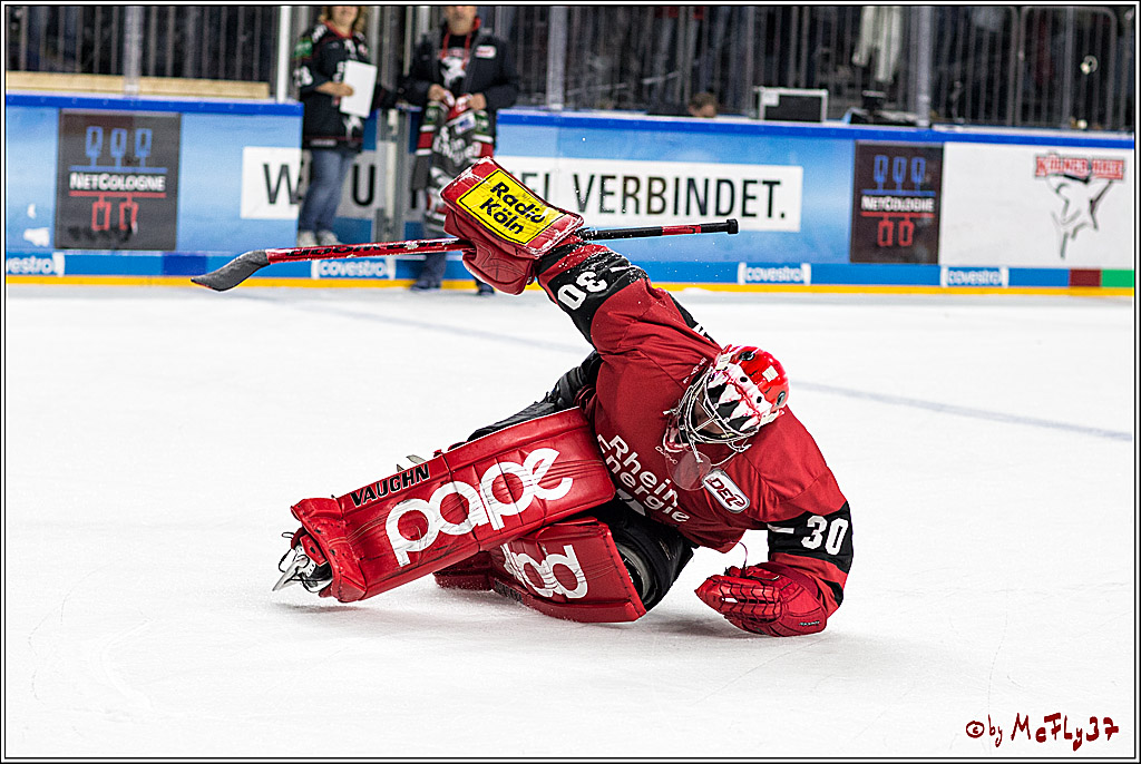 DEL, Koelner Haie - Duesseldorfer eG, 13.10.2017