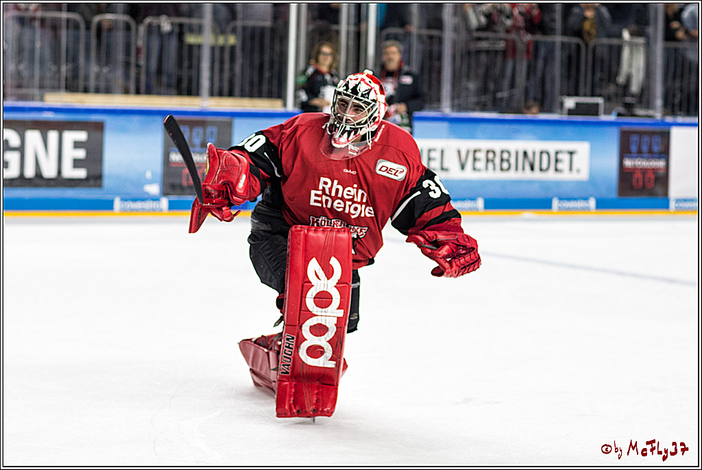 DEL, Koelner Haie - Duesseldorfer eG, 13.10.2017