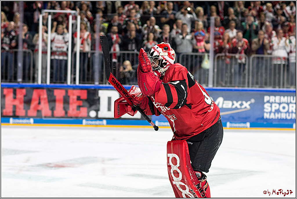 DEL, Koelner Haie - Duesseldorfer eG, 13.10.2017