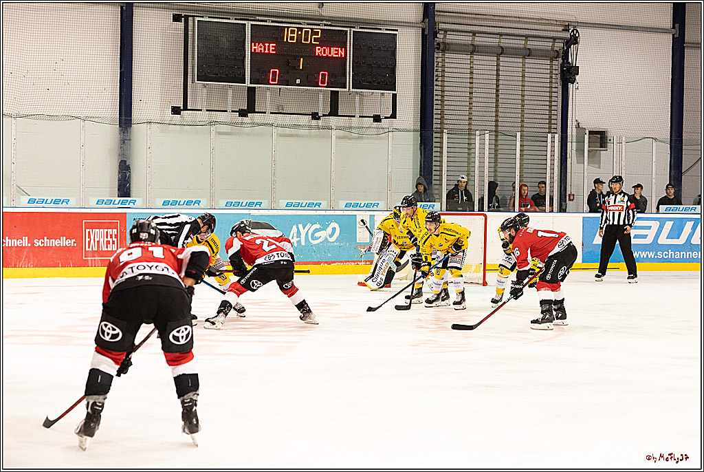 PENNY DEL Testspiel Koelner Haie - Rouen Dragons; Koeln, 18.08.2023