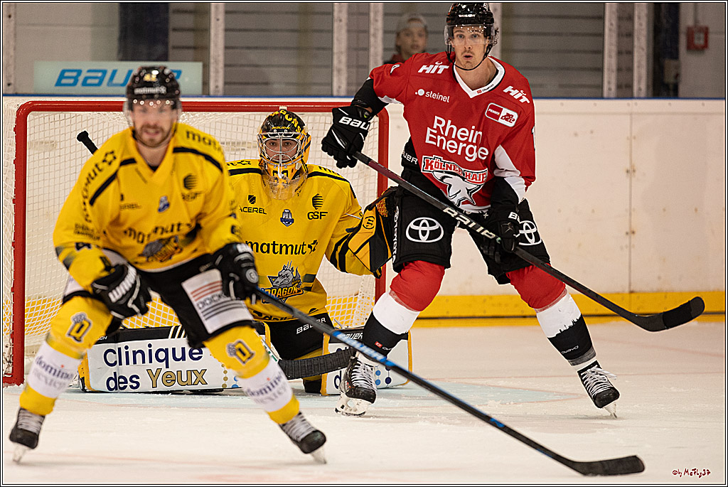 PENNY DEL Testspiel Koelner Haie - Rouen Dragons; Koeln, 18.08.2023