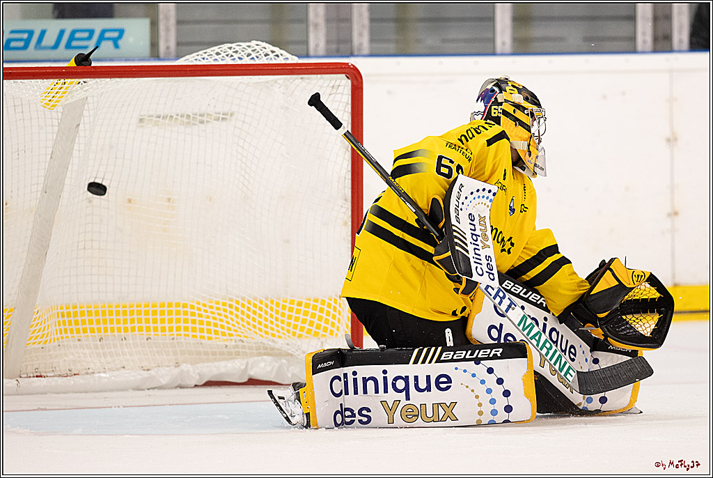 PENNY DEL Testspiel Koelner Haie - Rouen Dragons; Koeln, 18.08.2023