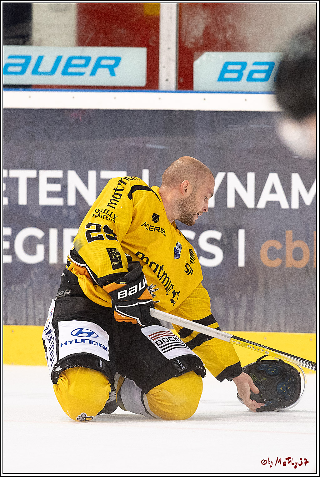 PENNY DEL Testspiel Koelner Haie - Rouen Dragons; Koeln, 18.08.2023