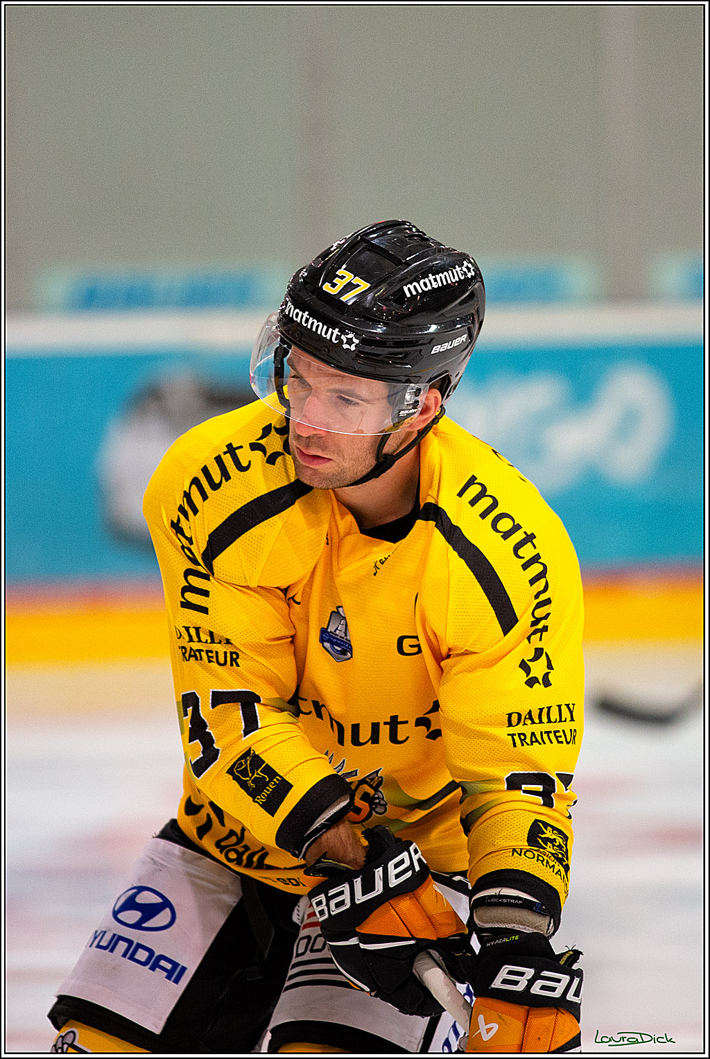 PENNY DEL; Testspiel Koelner Haie- Rouen Dragons; Koeln, 18.08.2023