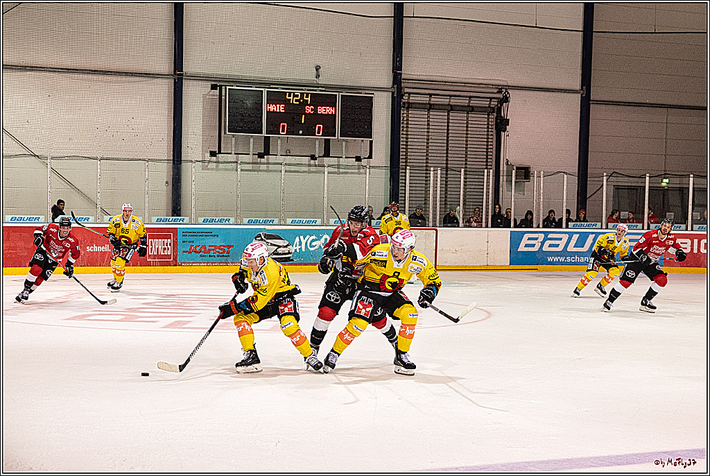 PENNY DEL 1. Testspiel Koelner Haie - SC Bern; Koeln, 25.08.2023