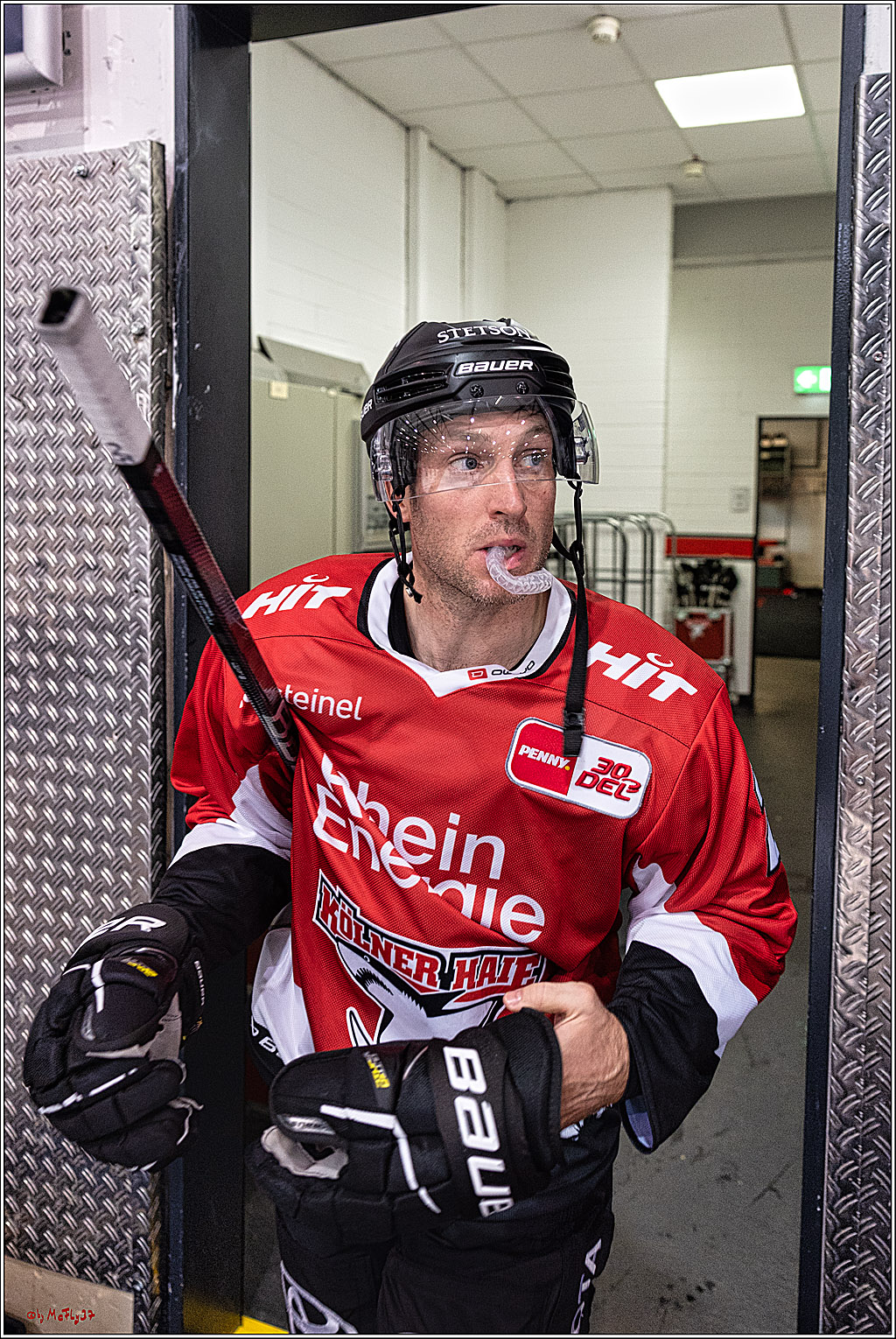 PENNY DEL 1. Testspiel Koelner Haie - SC Bern; Koeln, 25.08.2023