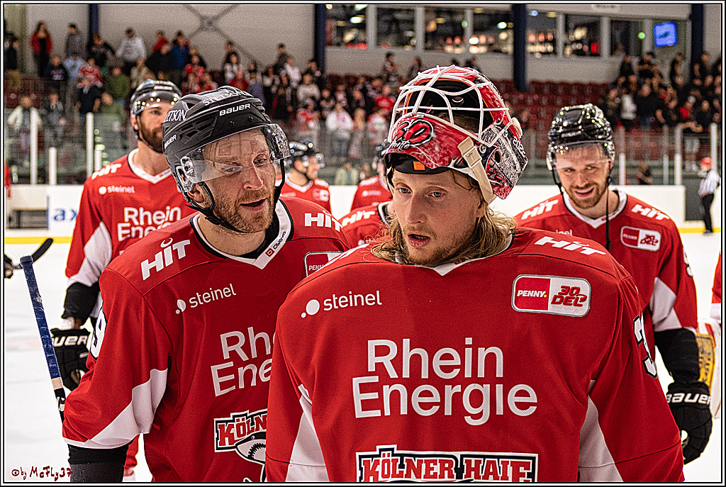 PENNY DEL 1. Testspiel Koelner Haie - SC Bern; Koeln, 25.08.2023