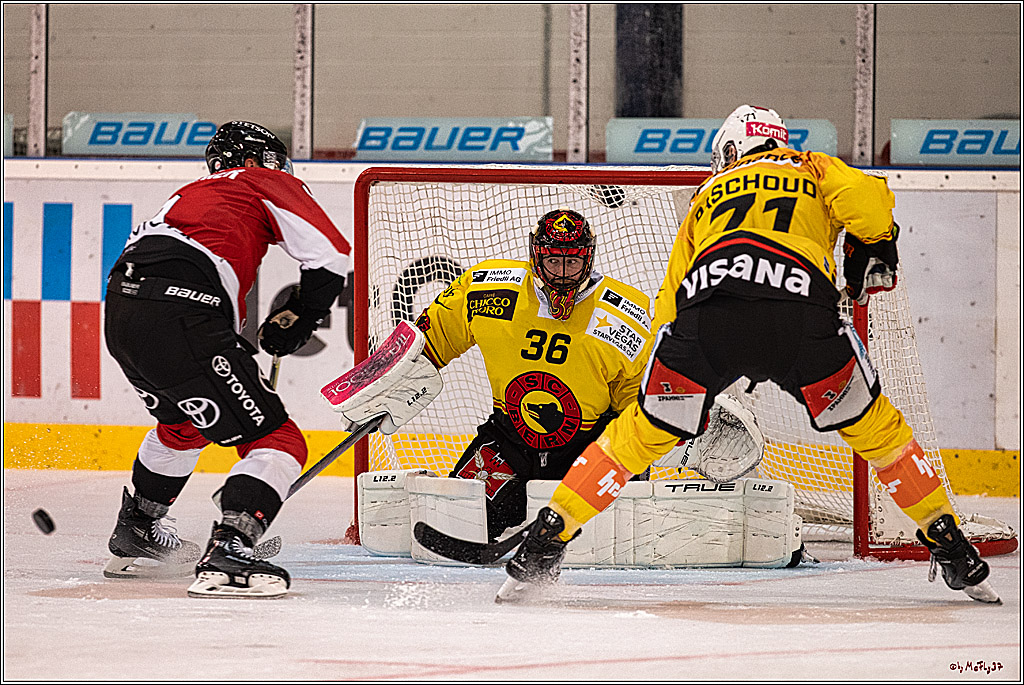 PENNY DEL 1. Testspiel Koelner Haie - SC Bern; Koeln, 25.08.2023