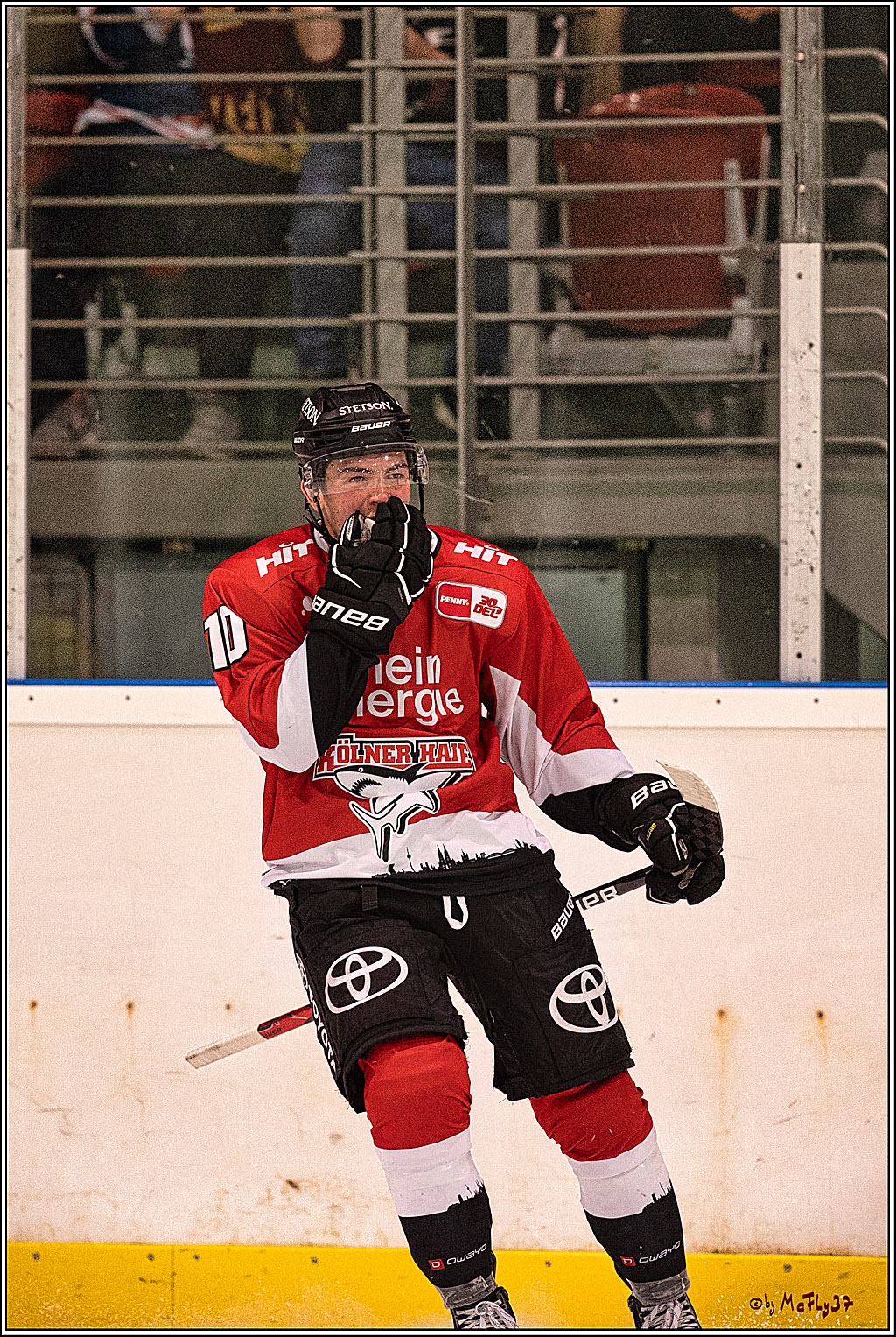 PENNY DEL 1. Testspiel Koelner Haie - SC Bern; Koeln, 25.08.2023