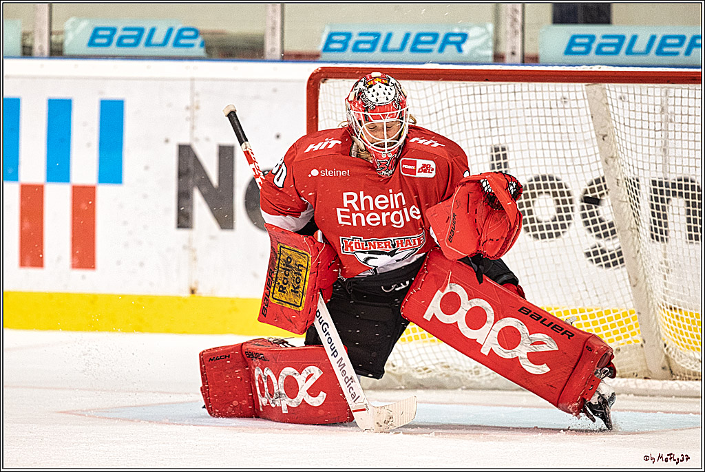 PENNY DEL 1. Testspiel Koelner Haie - SC Bern; Koeln, 25.08.2023