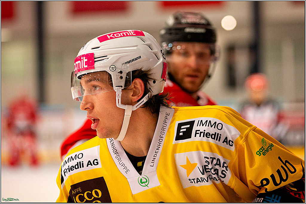 PENNY DEL; Testspiel Koelner Haie- SC Bern; Koeln, 25.08.2023