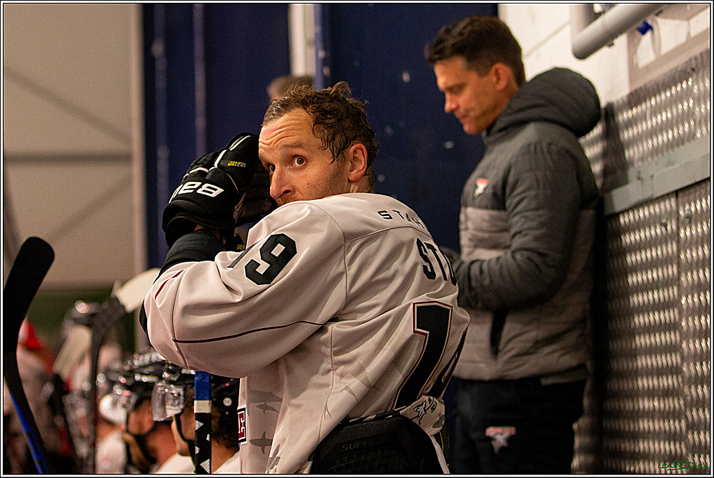 PENNY DEL; Testspiel Koelner Haie- Duesseldorfer EG; Koeln, 03.09.2023