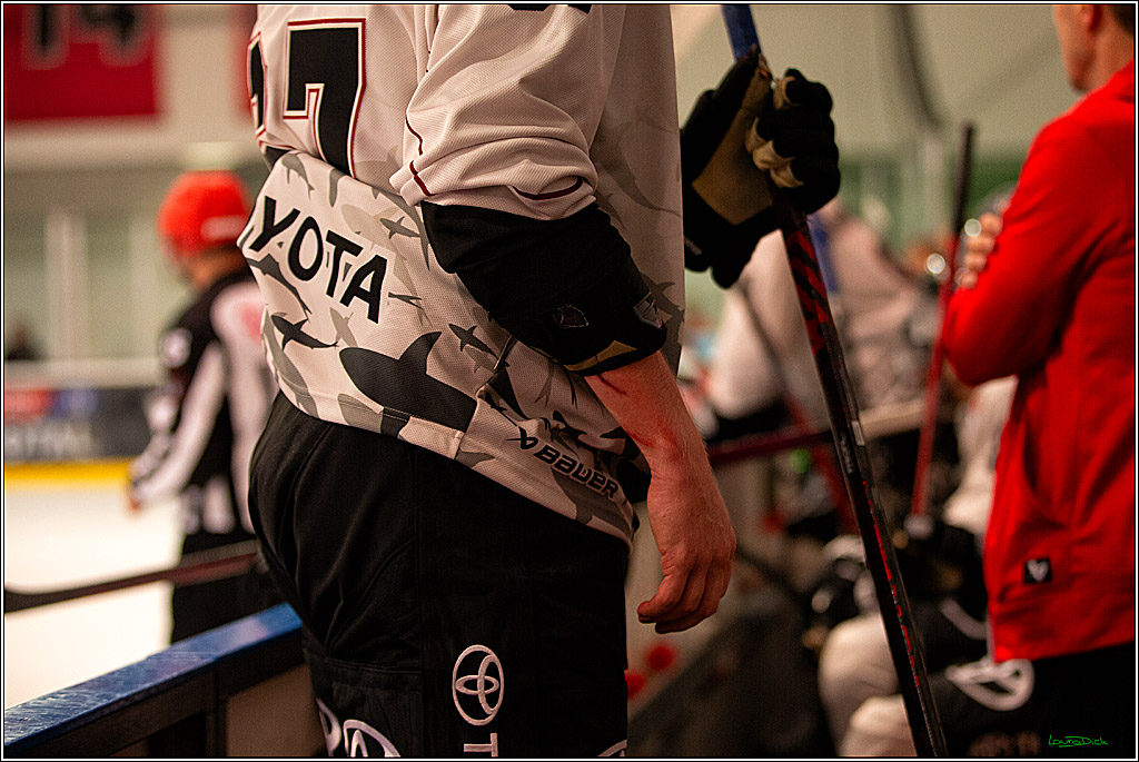 PENNY DEL; Testspiel Koelner Haie- Duesseldorfer EG; Koeln, 03.09.2023