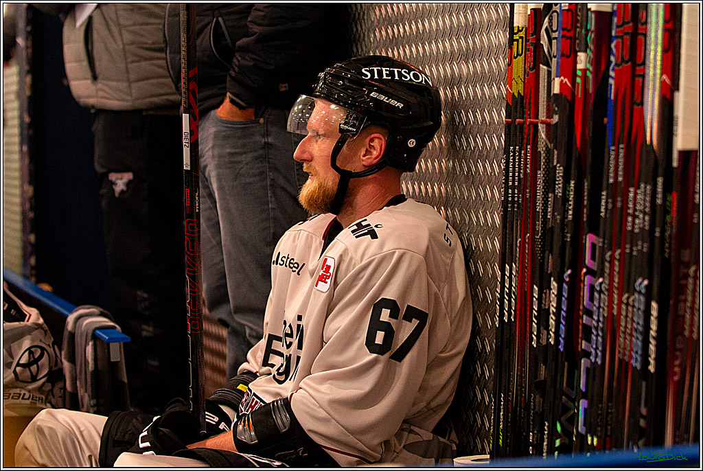 PENNY DEL; Testspiel Koelner Haie- Duesseldorfer EG; Koeln, 03.09.2023