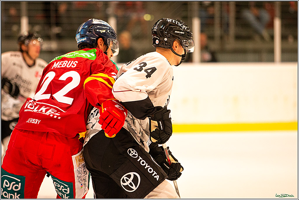 PENNY DEL; Testspiel Koelner Haie- Duesseldorfer EG; Koeln, 03.09.2023