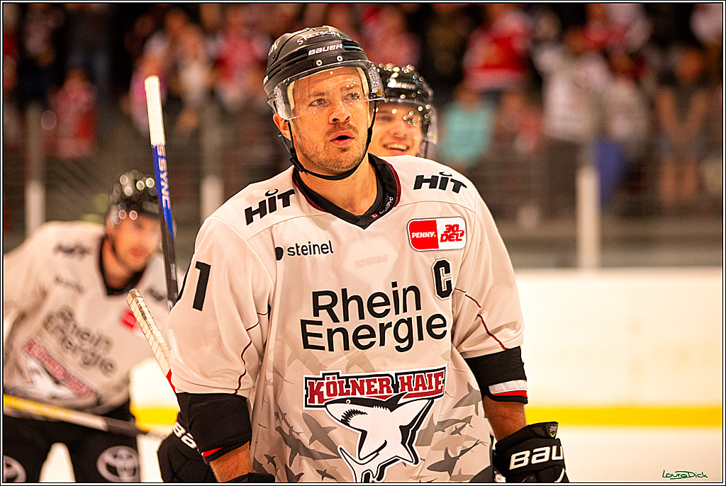PENNY DEL; Testspiel Koelner Haie- Duesseldorfer EG; Koeln, 03.09.2023
