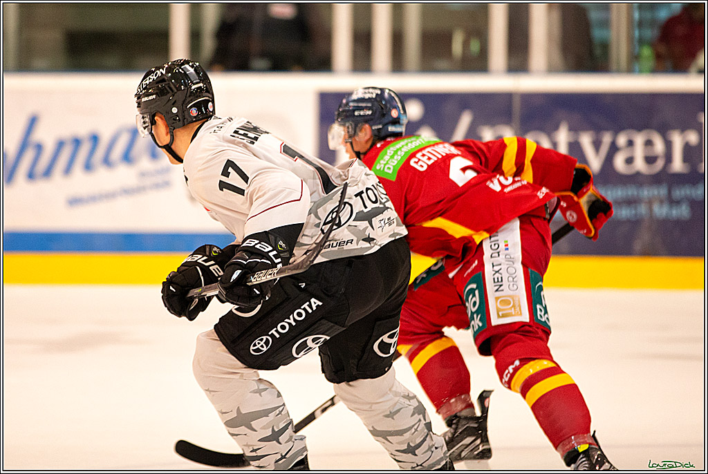 PENNY DEL; Testspiel Koelner Haie- Duesseldorfer EG; Koeln, 03.09.2023