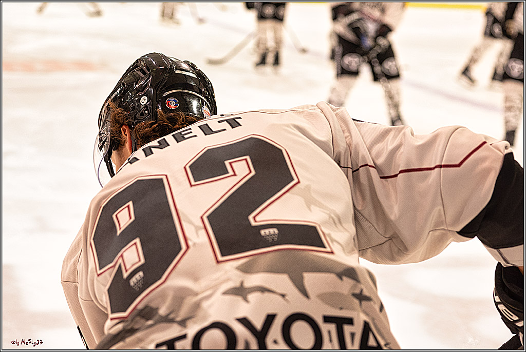 PENNY DEL 1. Testspiel Koelner Haie - Duesseldorfer EG ; Koeln, 03.09.2023